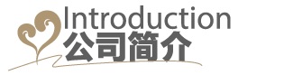 公司介绍